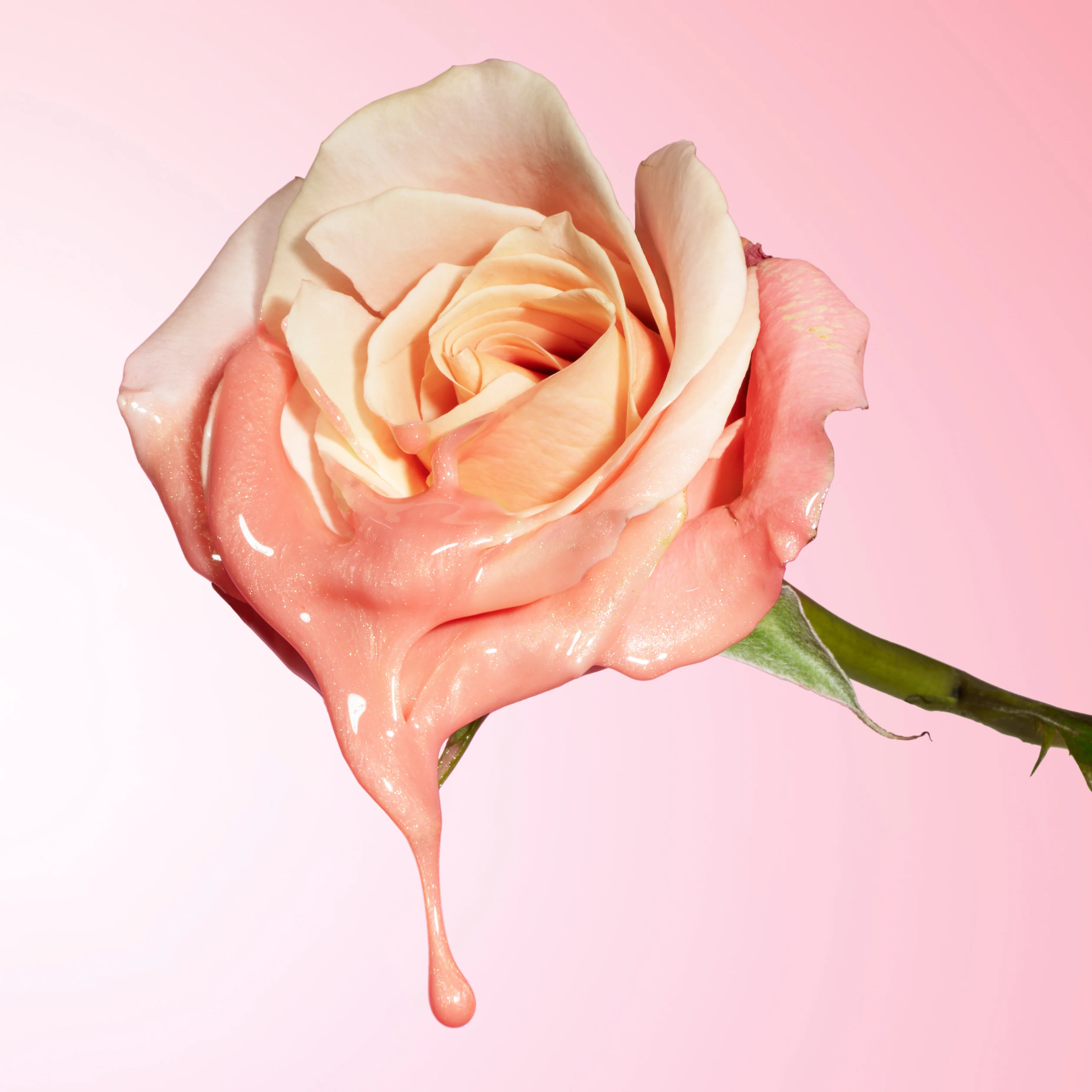 Watermelon Glow Niacinamide Hue Drops - Image 15